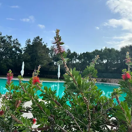 Apartment Ilia's House Porto Rotondo